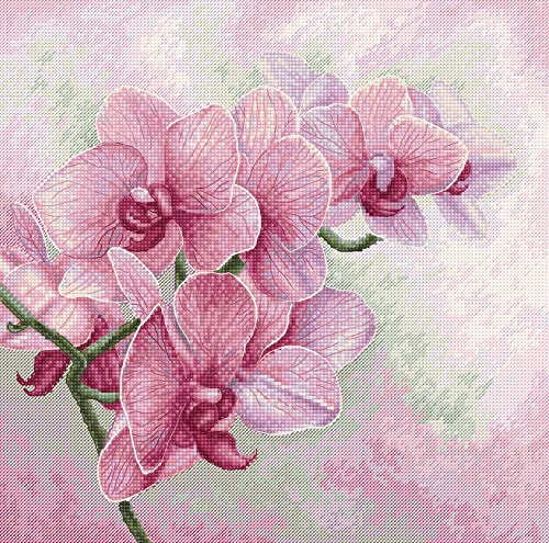 Cross Stitch Kit Luca-S - Graceful Orchids B7009
