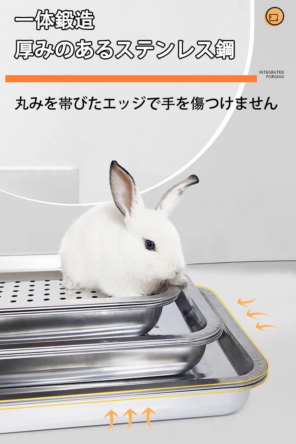 【美品】Gien ジアン　ランブイエ　GARANTI 兎　ウサギ　プレート 美品】Gien ジアン ランブイエ GARANTI 兎 ウサギ プレート