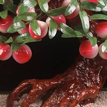 61HCAD-CaEL._AC_UF350,