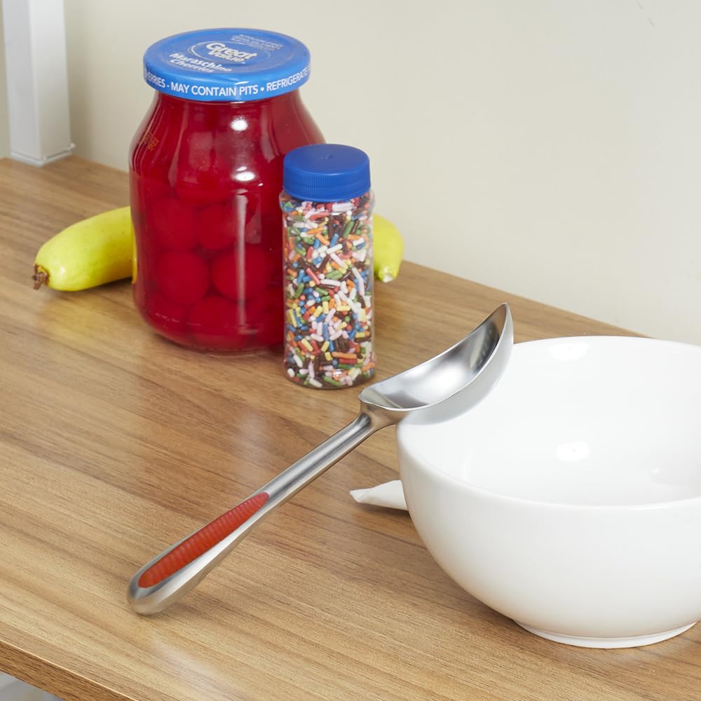 Home Basics Zinc Ice Cream Scoop