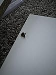 Review Image by Amazon Customer