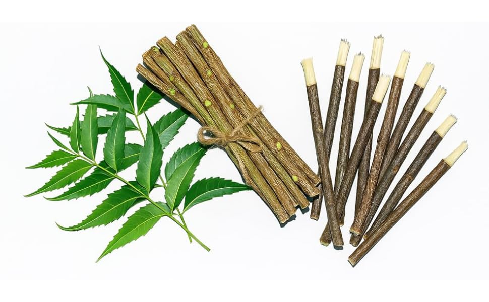 Neeem Sticks for Natural Organic Neem Datun Toothbrush Neem Tree Twigs Chew Sticks for Brushing Teeth Removes Bad Breath Relieve Tooth Ache Healthy Toothpaste (Pack of 20) Neeem Sticks for Natural Organic Neem Datun Toothbrush Neem Tree Twigs Chew Sticks for Brushing Teeth Removes Bad Breath Relieve Tooth Ache Healthy Toothpaste (Pack of 20)