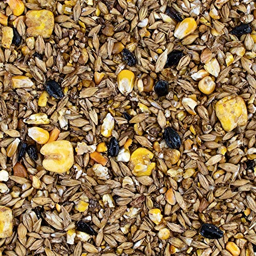 Speed DAS VOLLE Korn, 1 x 20 kg, Pferdefutter aus bestem Vollkorngetreide, Pellet- und haferfreies Müsli, naturnahe Rezeptur