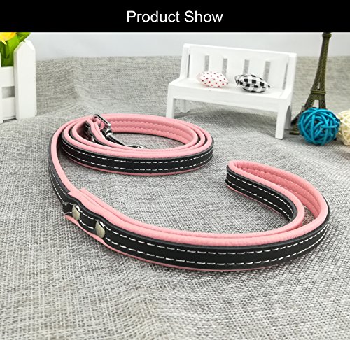 Newtensina Moda Collare e guinzaglio per Cani