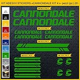 cannondale lefty aufkleber Die Aufkleber sind Repliken (sofern zutreffend) oder von uns entworfen