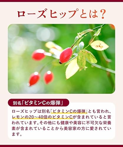 温活農園 ローズヒップハイビスカスティー 2g×30包