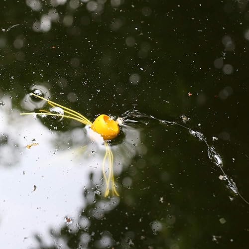 Miniatura 8 de XFISHMAN Popper-Flies-para-Mosca-Pesca-Topwater-Bass-Panfish-Bluegill Poppers Moscas Bugs Señuelos