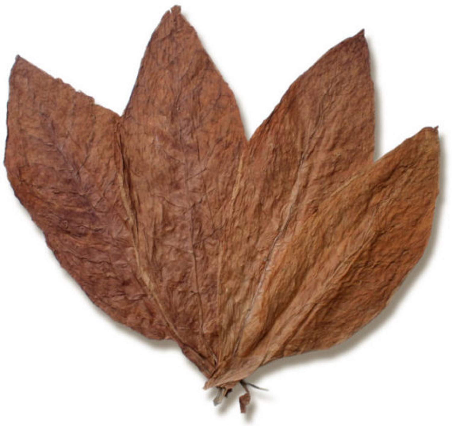 tobacco sheets burlap burlap tobacco sheets VINTAGE BURLAP TOBACCO SHEETS STAMPED WITH PICTURES  OF RED TOBACCO LEAVES 8X8'
