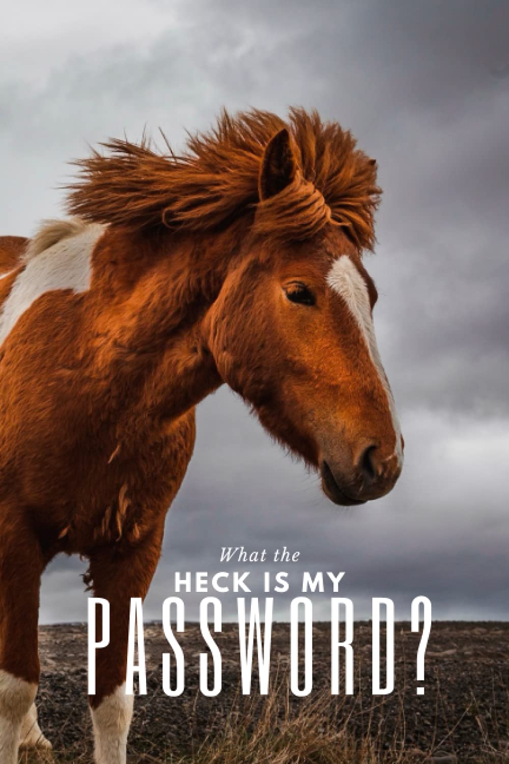What the Heck is my Password? Internet Password Logbook, Password Book with Alphabetical Tabs [6"x9"]: Horse (Best Password Books on Amazon)