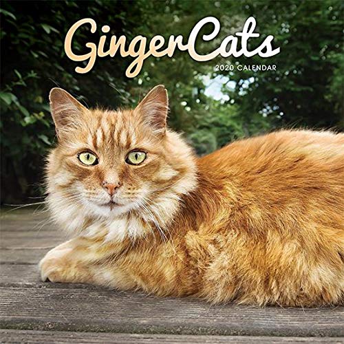 Télécharger Ginger Cats Square Wall Calendar 2020 livre En ligne
