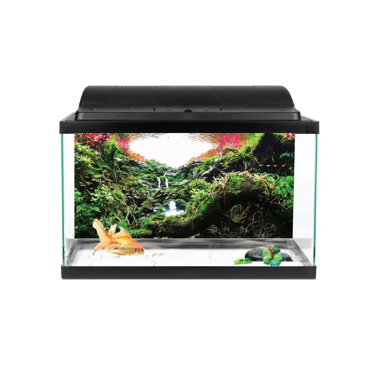 VVWV® Aquarium Background Stickers for Fish Tank Waterproof Vinyl Printed Multicolored Sticker Pond (61 X 41 CMS) (B0BX629CQY) Amazon Price History, Amazon Price Tracker