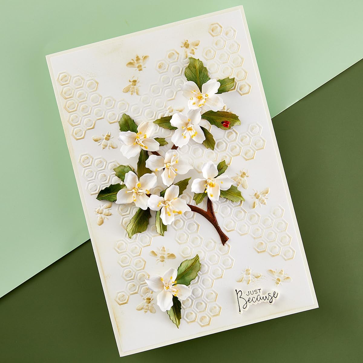 Spellbinders E3D-078 Bee-Cause 3D Embossing Folder from The Through The Arbor Garden Collection by Susan Tierney-Cockburn