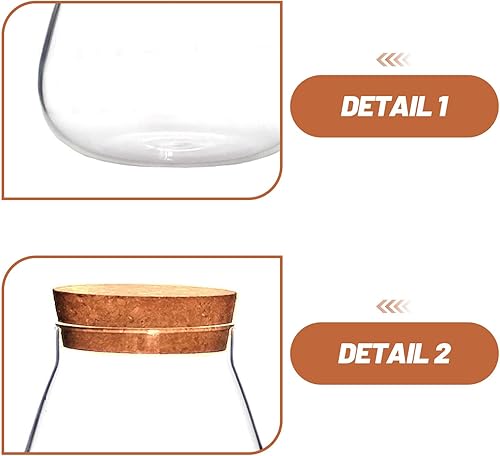 Miniatura 3 de HOMSFOU Estación de propagación de plantas, jarrón de vidrio de terrario con soporte de corcho transparente para plantas, tarros de flores, soporte