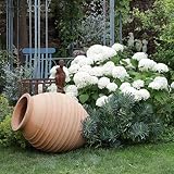 Palatina Werkstatt Vitex ekskluzywna amfora z terakoty 110 cm – 100% ręcznie wykonany unikat – nadaj swojemu ogrodowi i wnętrzom urzekającego uroku