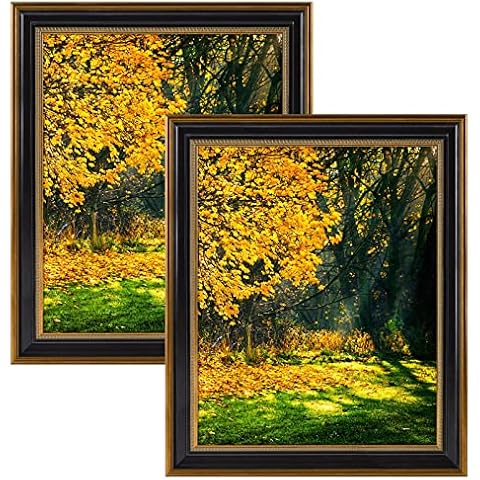 Space Art Deco, 16x20 Picture Frame without Mat for 16x20 Poster/Photo/Print, Shatter-Resistant Real Glass Wall Mounting Display (Black and Ornate Gold Design, 2-Pack) Cover