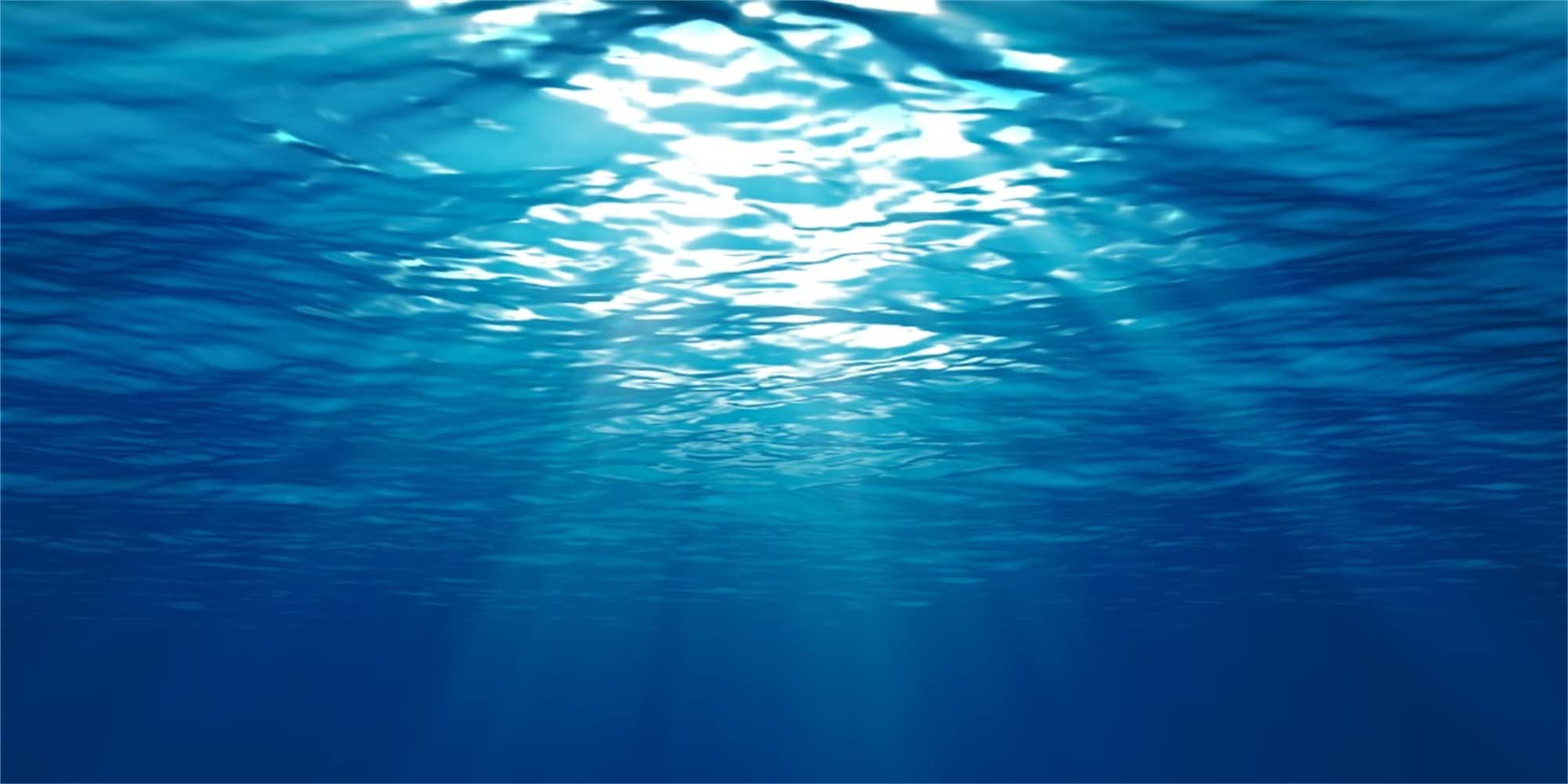 MIRRORANG 61x41cm Undersea Theme Aquarium Background Sunshine Ocean Water Underwater World Fish Tank Background โ image 1