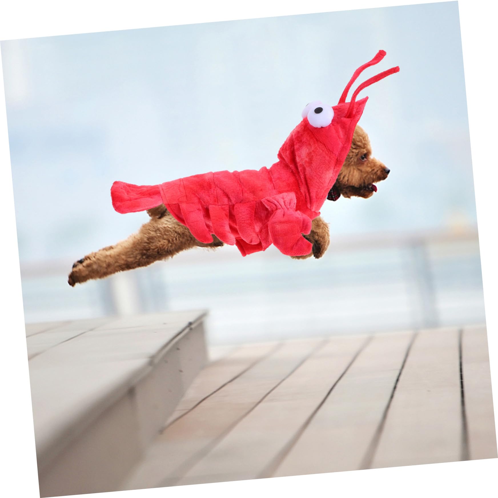 KOMBIUDA Costume Halloween Cane Rosso Forma di Aragosta in Xs Abbigliamento per Cani Piccoli Vestito Divertente e Caldo per Feste Autunnali e Invernali