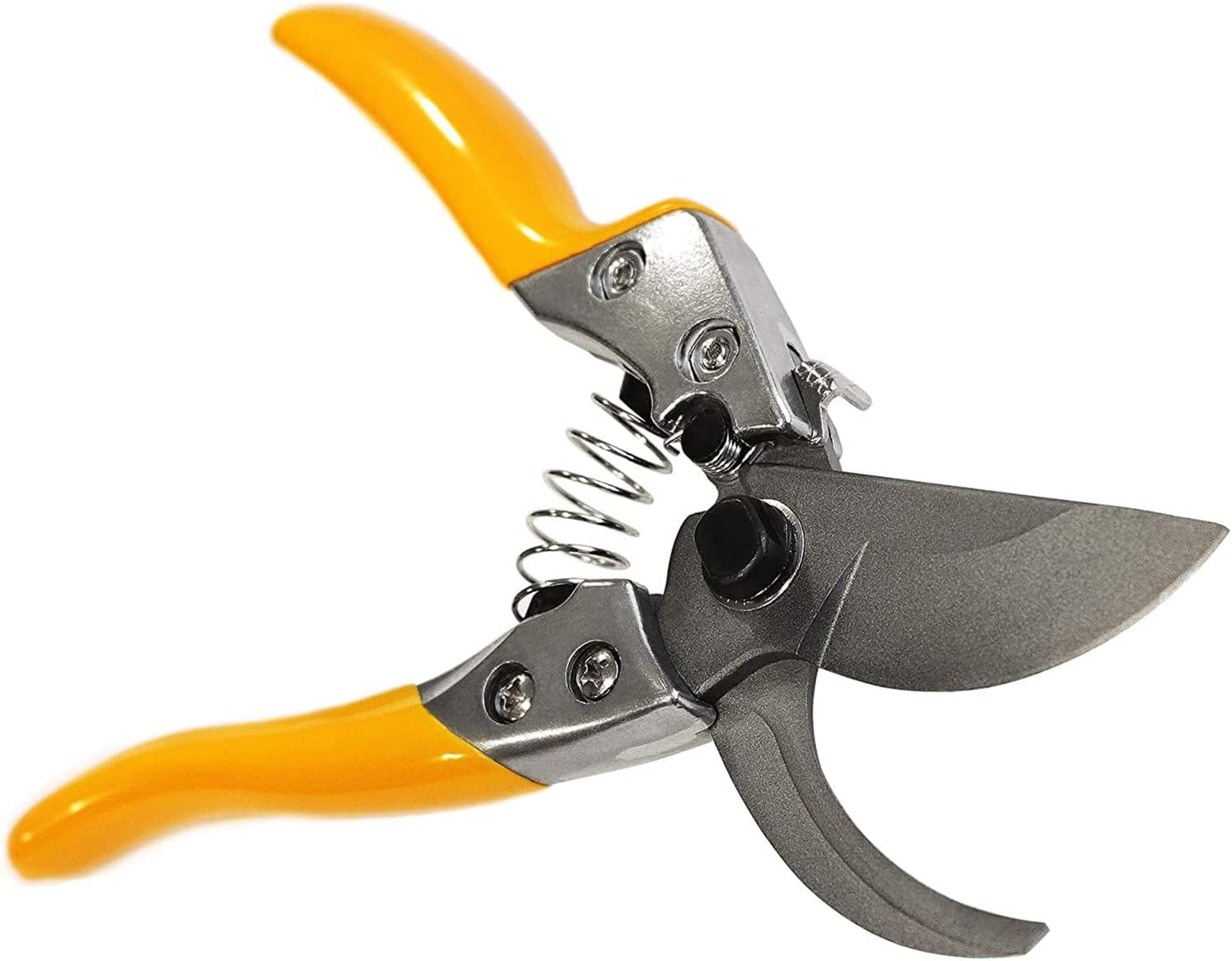 Professional Pruning Shears, Gardening Garden Shears Suitable for Orchard Flower Branch Picking