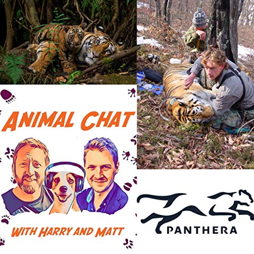 S2 E6 Animal Chat with John Goodrich Podcast Por  arte de portada