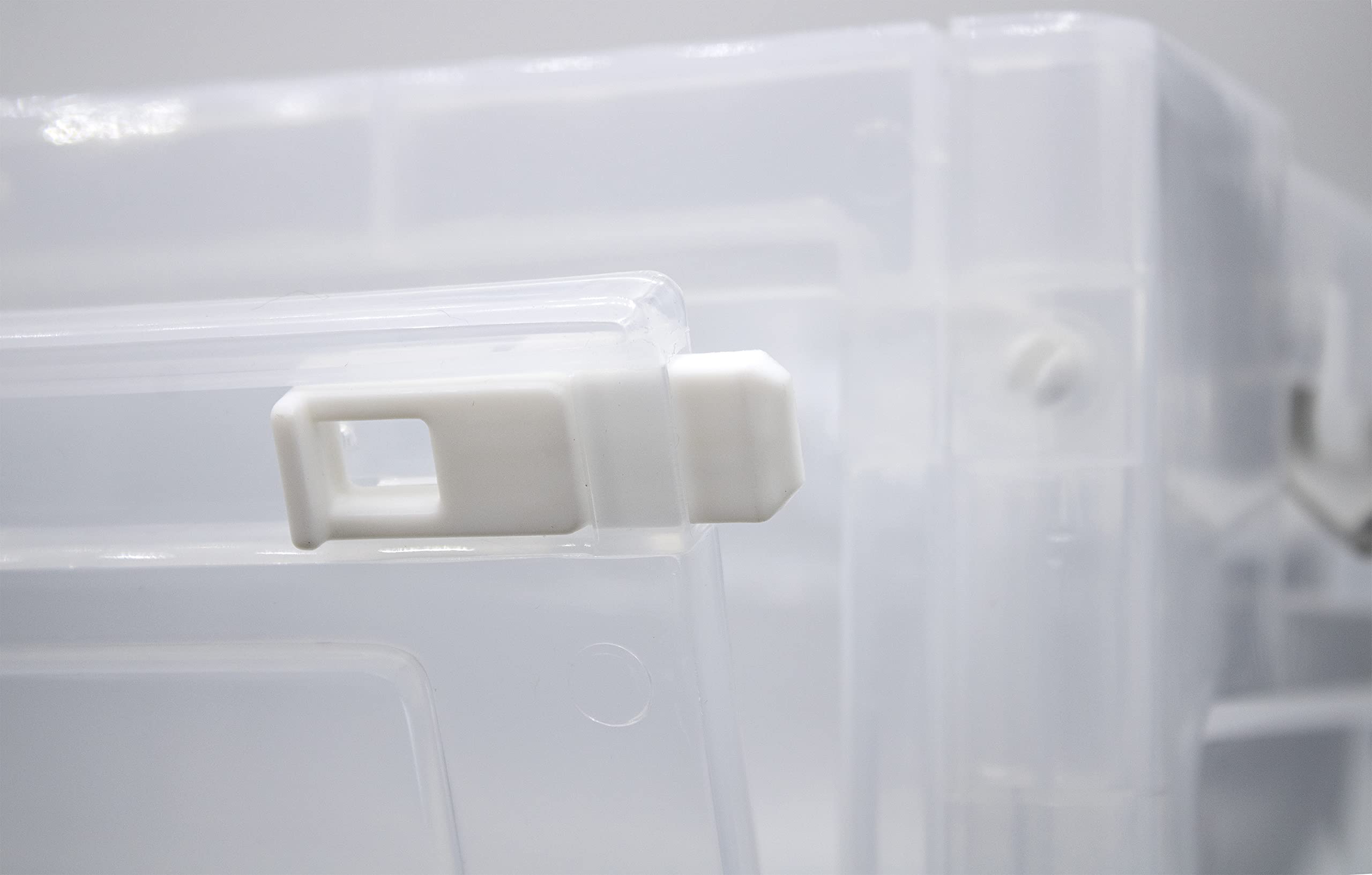S.I.C SIC Caja de Almacenamiento Plegable Transparente con Puerta Frontal, Cajas de Almacenamiento de Plástico, Organizador para Maletero de Coche, Armarios, Hogar, Oficina (42x28x21 CM, Blanco-2)