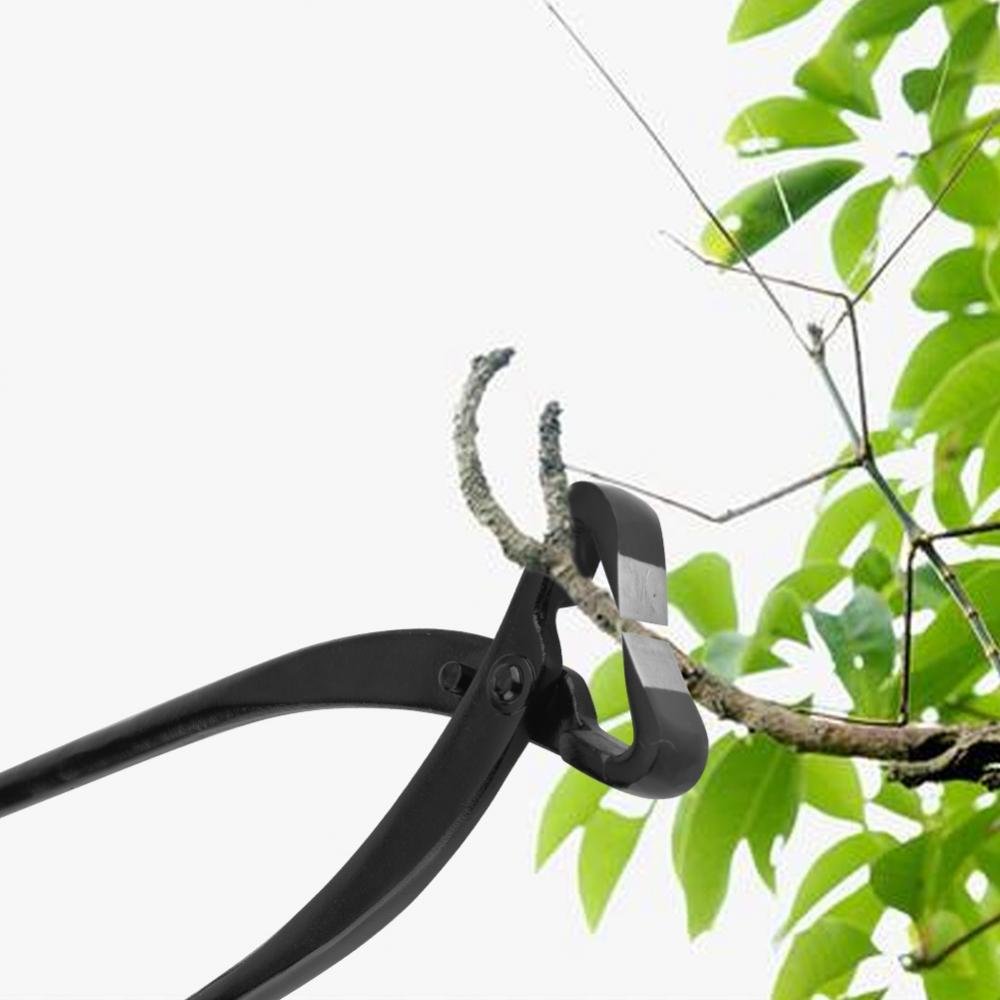 Branche, des Pinces coupantes, des Lames tranchantes de Calibre Professionnel de 210mm / 270mm de qualité Professionnelle, Outils de bonsaï de Jardin(210mm)