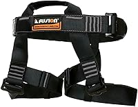 Fusion Climb Centaur Half Body Harness - 5,000 lbs Rated for Rock Climbing, Ziplining, Rappelling - USA Made Adjustable