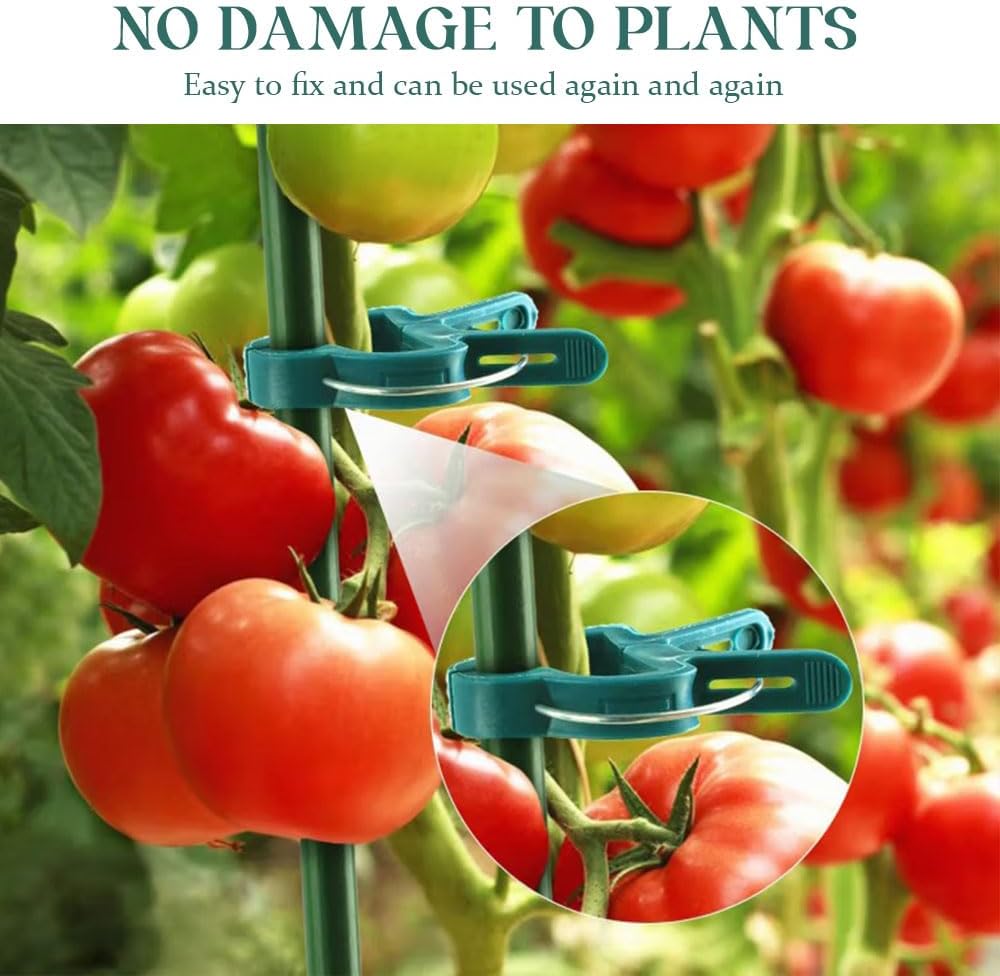 Secured Plastic Plant Clips, Plant Support Clips Plant Clips for Climbing Plants, Plant Fixing Clips Tomato Clips for String Trellis, Garden Clips Vine Fixing Clip Plant Vine Clips (200, B# Large)