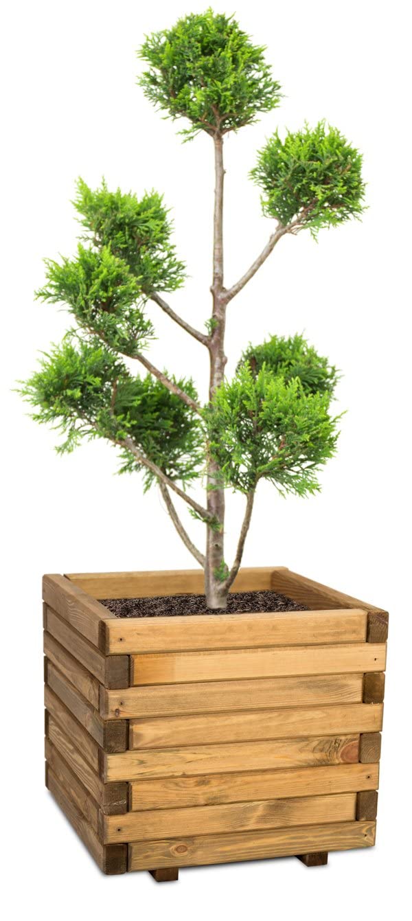 Primrose Grey Large Wooden Pine Raised Cube Planter Treated Pine & Responsibly Sourced 60Cm (23.6In)