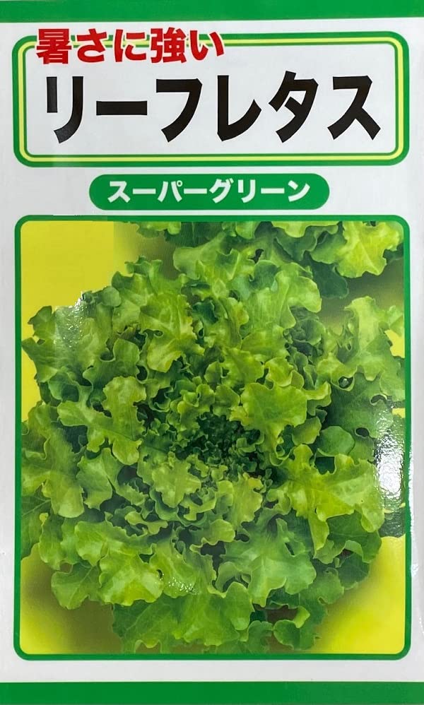 れたす出品 Amazon.co.jp: 【種子】リーフレタス スーパーグリーン トーホク