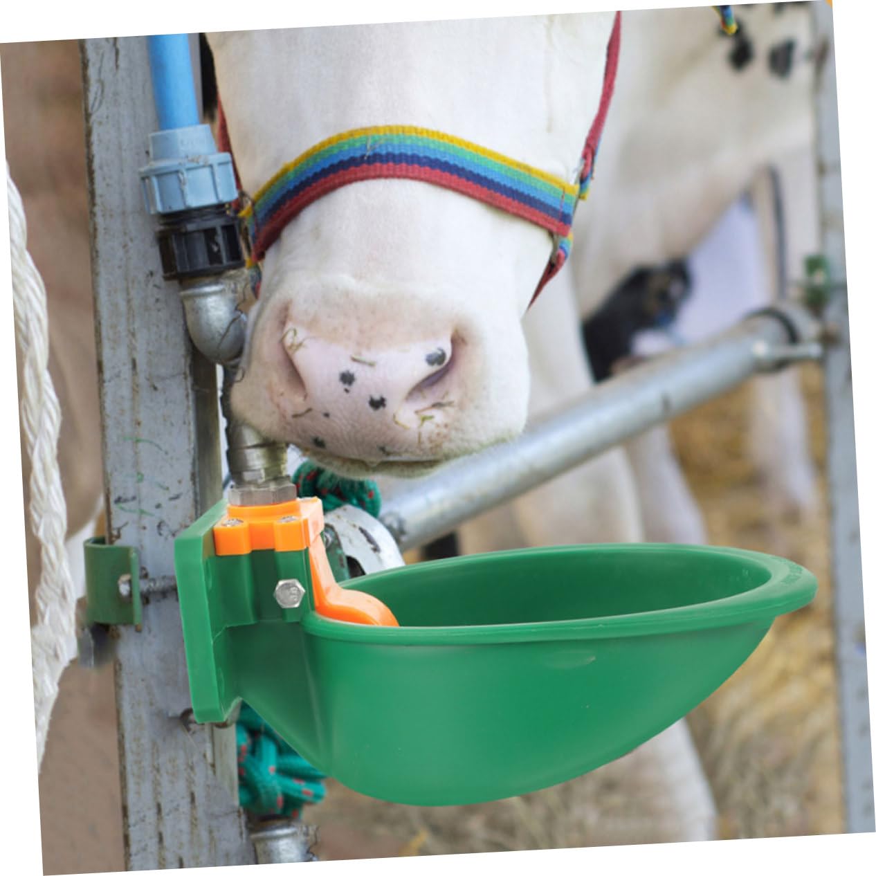 HEMOTON Abbeveratoio Automatico per Bovini e Ovini in Plastica Verde Fornitura D'acqua Affidabile, Ciotola per Animali da Allevamento per Uso Agricolo