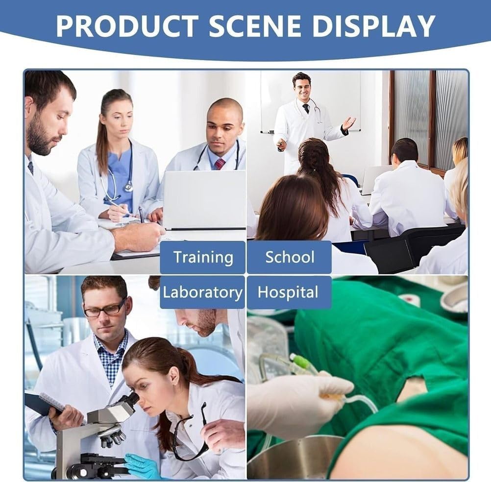 Female Gynecological Manikin Model, Female Genitals Anatomy Model Human Model Iud Training Model with Accurate Anatomy Structure Suitable for Teaching and Presentation