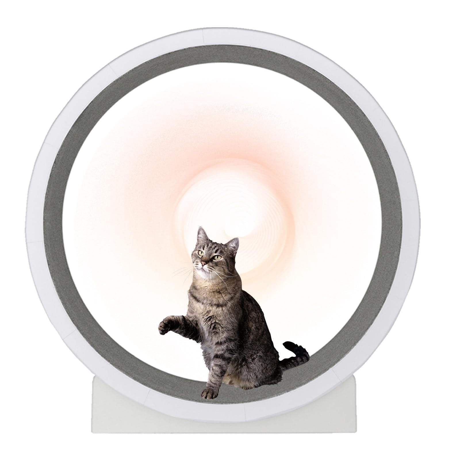 Rueda de Ejercicio para gatos Ruedas para gatos de Interior, Rueda para Correr para gatos con Pista alfombrada y Rueda silenciosa, Ruedas para hámster para gatos para Perder Peso y Salud