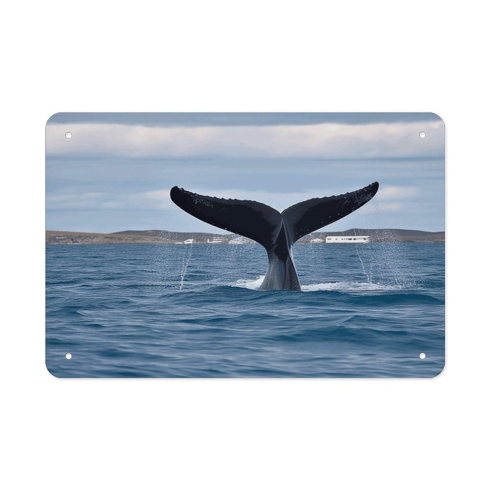 Whale Tail Metal Tin Sign 12"x8" Wall Art Prints Poster Decorative Picture Metal Signboard Decor Painting Folded Edge Iron Sheet Painting with Holes for Wall Decor