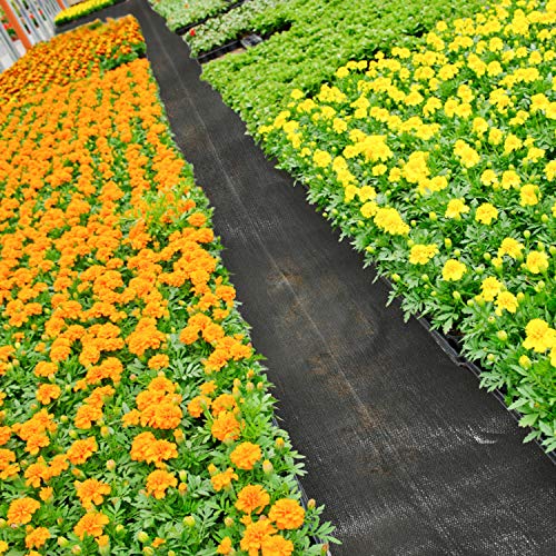 Pomeat Weed Barrier Landscape Fabric Heavy Duty, Premium Pro Weed Blocker Fabric, Durable & Superior Weeds Control Fabric for Vegetable Gardens, Flower Bed, Mulch, Pavers, Driveway 1.4 X 100FT Black
