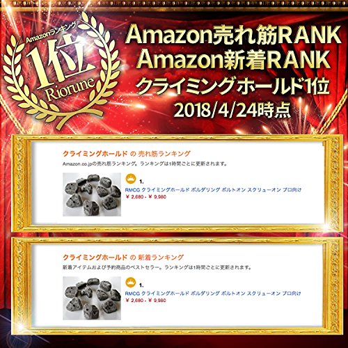 RMCG クライミングホールド ボルダリング スクリューオン 10