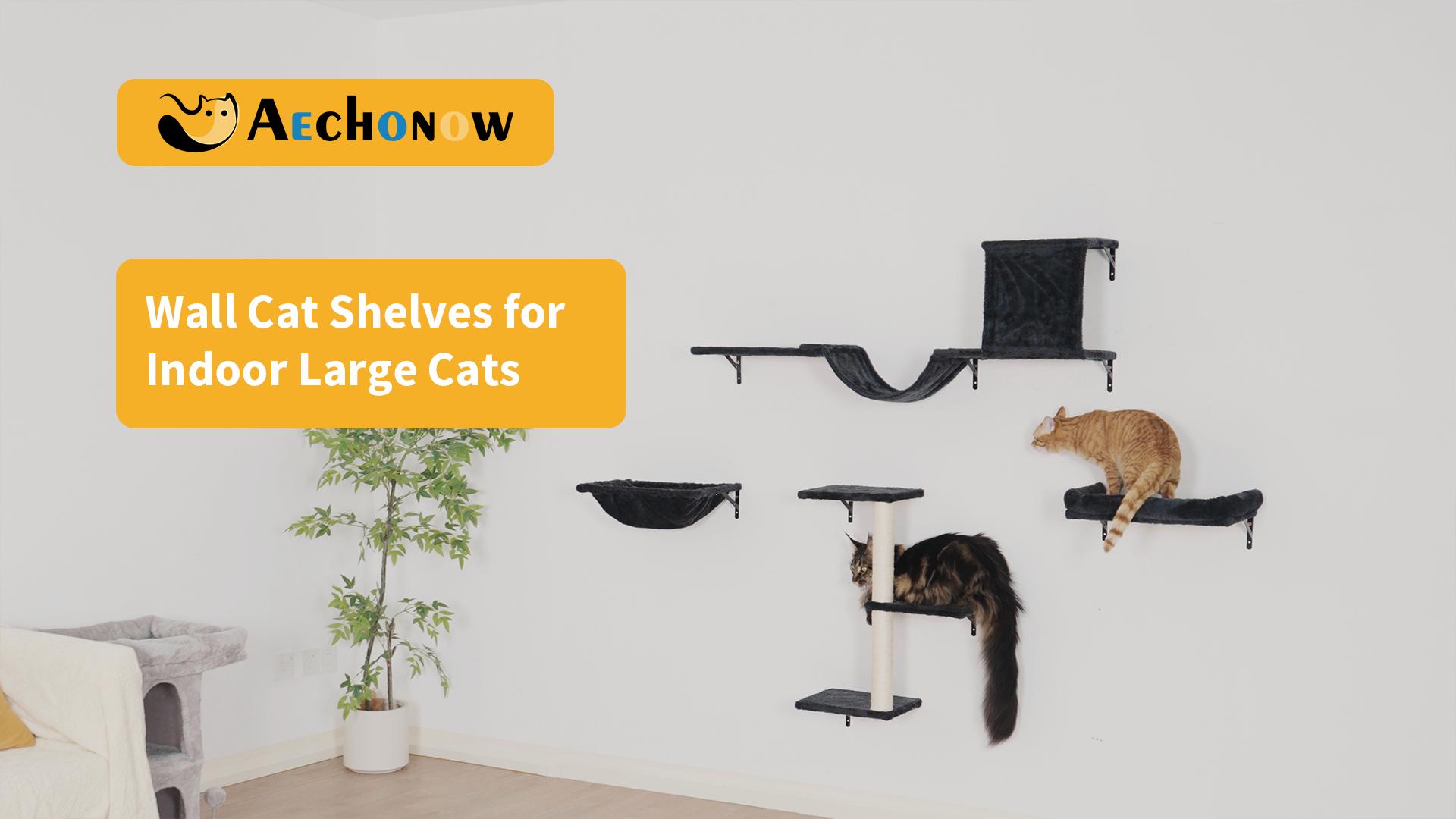 Estantes de pared robustos para gatos grandes, cama y hamaca miniatura 7