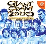 Giant Gram 2000: All-Japan Pro Wrestling 3[Japanische Importspiele]