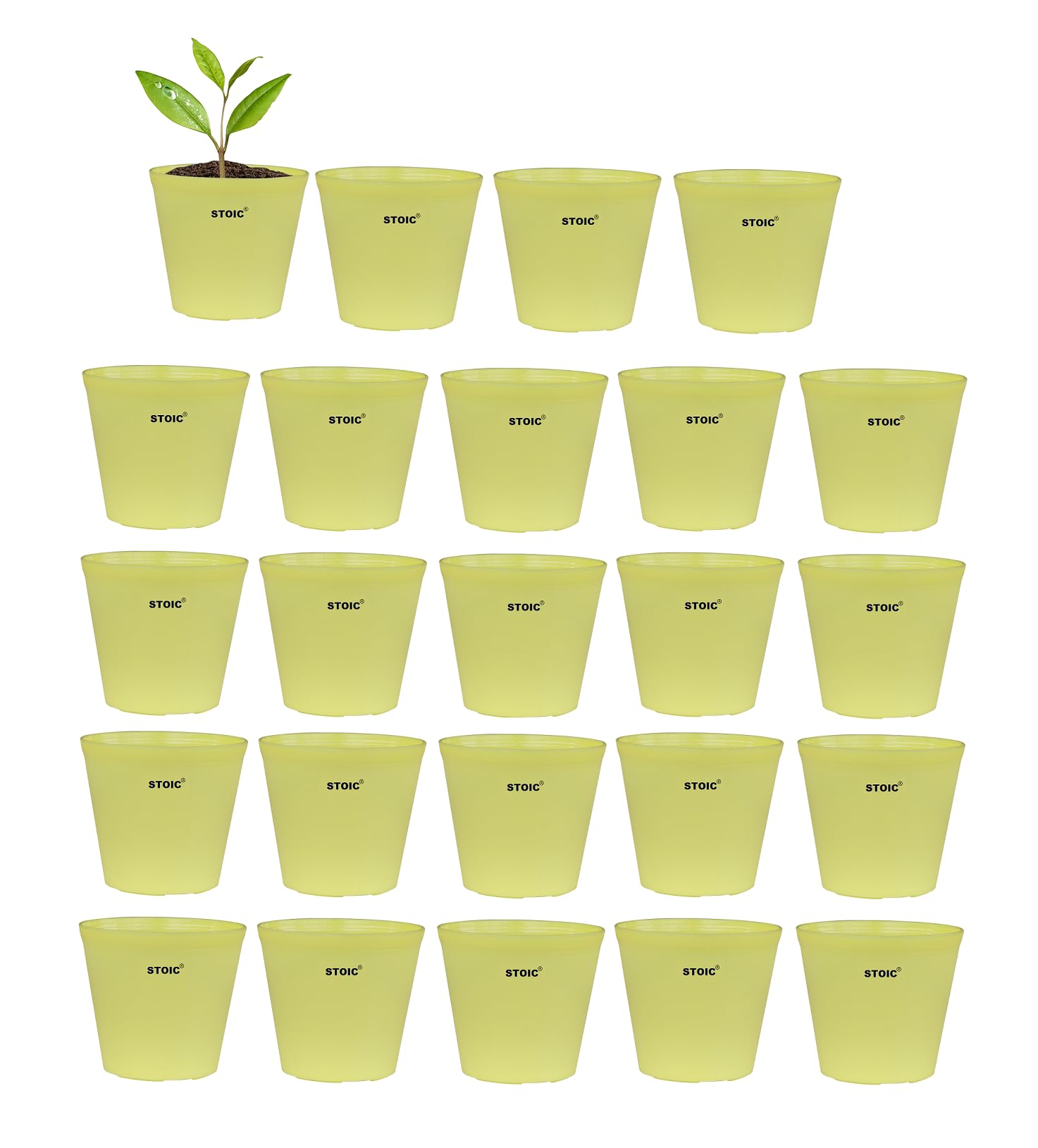 STOIC N Pot for Home Garden | Planters for Outdoor Balcony and Nursery | Flower Planting Pots Black Color (Pack of 24) (B0CG1CB73B) Amazon Price History, Amazon Price Tracker