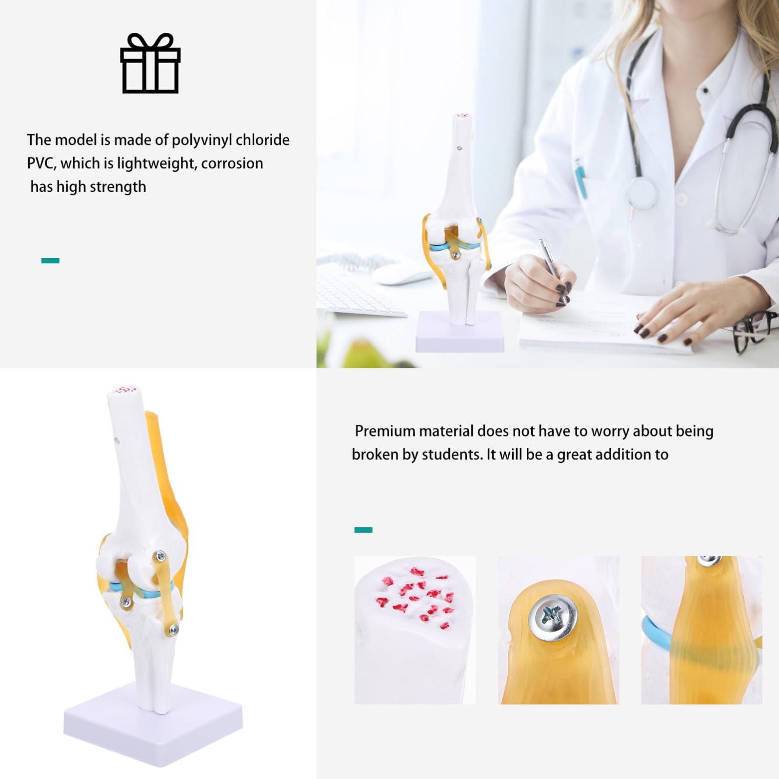 Articolazione Ginocchio Umano in Pvc Resistente Modello Anatomico 1:1 Dimostrazione Flessione per Insegnamento e Laboratorio Didattico