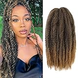 Marley Hair 3 Packs 18 Inch Long Afro Kinky Marley Twist Braiding Hair Natural Synthetic Marley Hair for Twists Crochet Hair Extension 100g/pack(T27#)