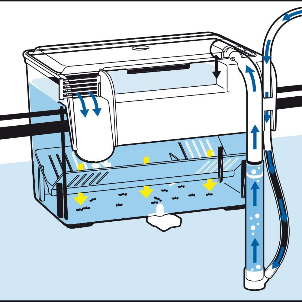 Amtra Esterba Hang On - Sala Parto Acquario, Vaschetta esterna da isolamento, Per Gestazione., Schiusa delle uova, 1,5 L/ 16X13X16 CM