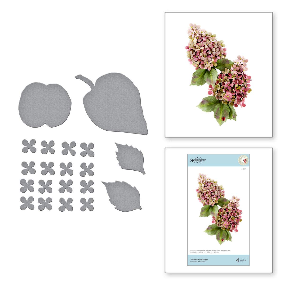 Spellbinders Multi Etched Dies Tierney-Cockburn Hydrangea-Susan's Autumn Flora, 1 S4-1073