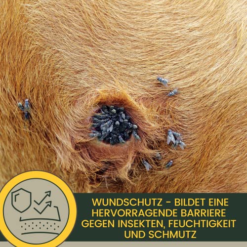 Erste Hilfe Set Zinksalbe Haut & Zinkspray Hund Pferd Katze I Wundspray & Wund und Heilsalbe bei Wunder Haut I Zinkoxid Salbe zur Wundheilung I Zink Salbe I Wundsalbe mit Zink bei Juckreiz 0,2 0,25L