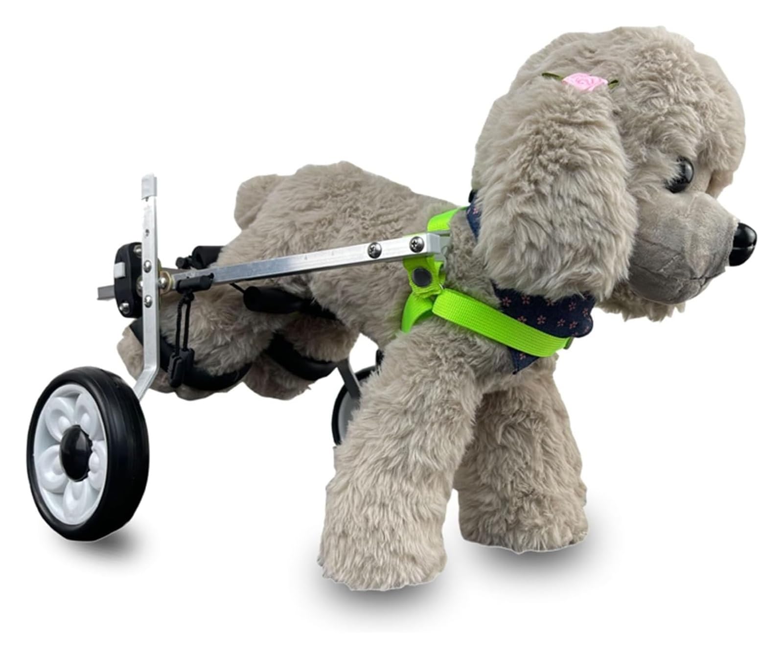 Aide à la marche pour chiens handicapés avec châssis réglable