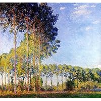 油絵 モネ 睡蓮の池に架かる橋6号 F6 Amazon.co.jp: つの絵画 睡蓮の池 日本の橋 1900 クロード モネ