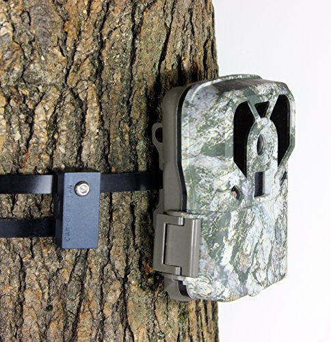 Trail Camera Lock by Guardian - Game Cam Tree Mount Holder Accessory and Heavy Duty Metal Security Locking Strap to Replace Lockbox and Reduce Theft (36 inch 1 Pack)