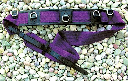 IV Horse Training Roller with Rings