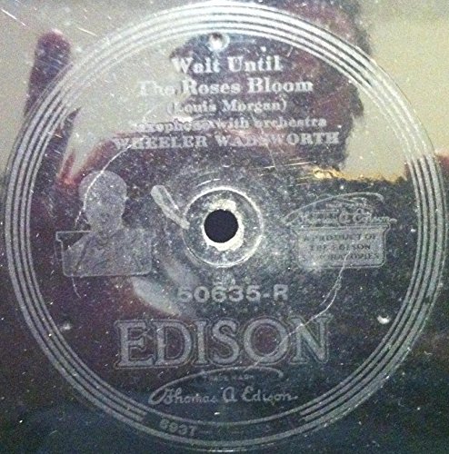 WHEELER WADSWORTH / WAIKIKI HAWAIIAN ORCHESTRA WAIT UNTIL THE ROSES BLOOM / ALOHA LAND vinyl record
