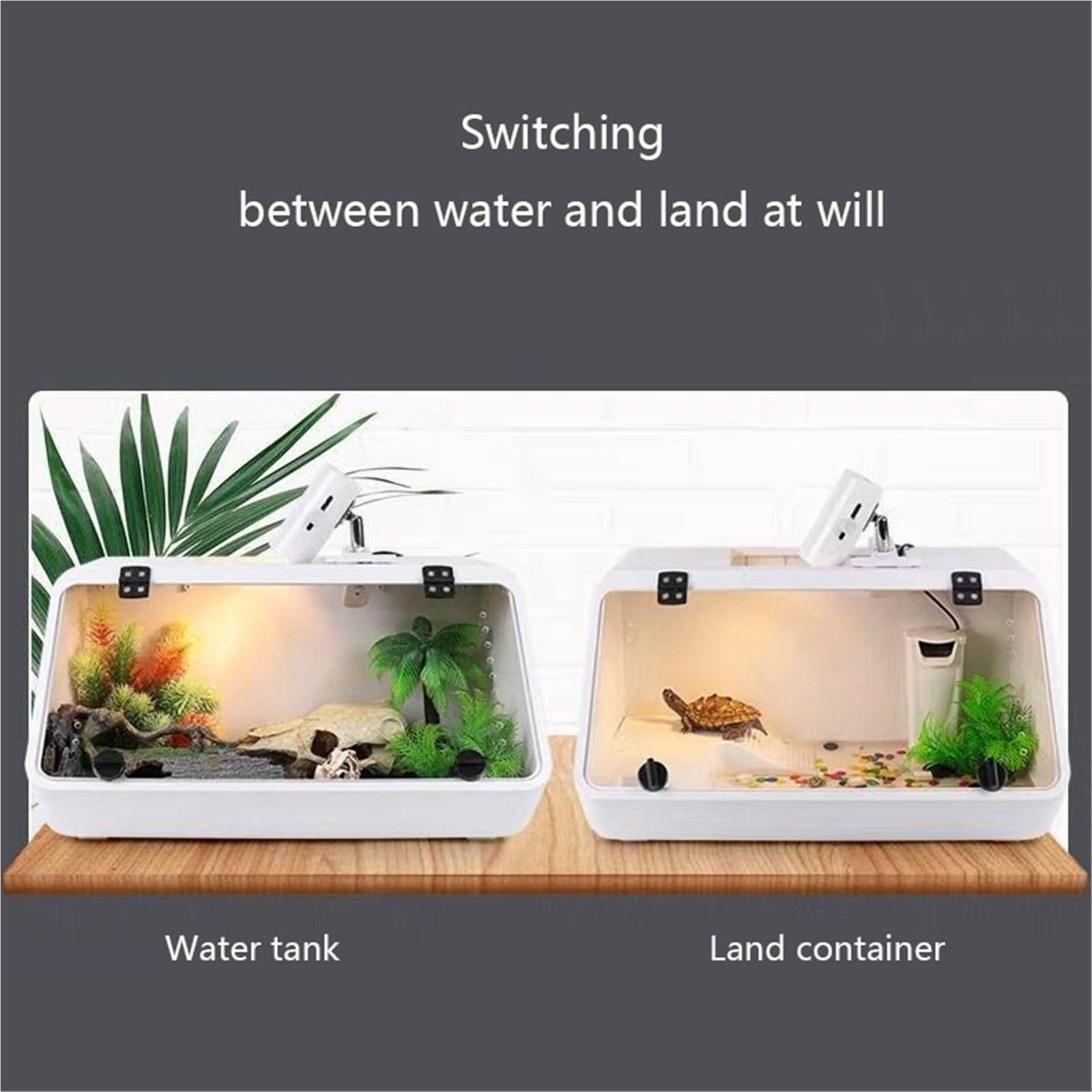 Aquarien Schildkrötenbecken mit Sonnenplattform, Wasser- und Landbecken zur Schildkrötenzucht