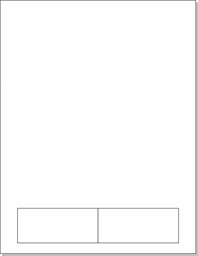 Next Day Labels - Forma integrada de etiquetaláser con combinación de etiquetas (2 etiquetas de 3-12 x 1-12 pulgadas cada unapaquete de 250)
